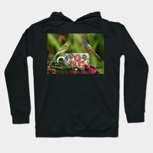 Painted Bunting Birds Hoodie